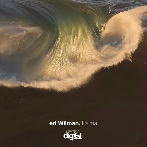 Ed Wilman - Palma [379SD]